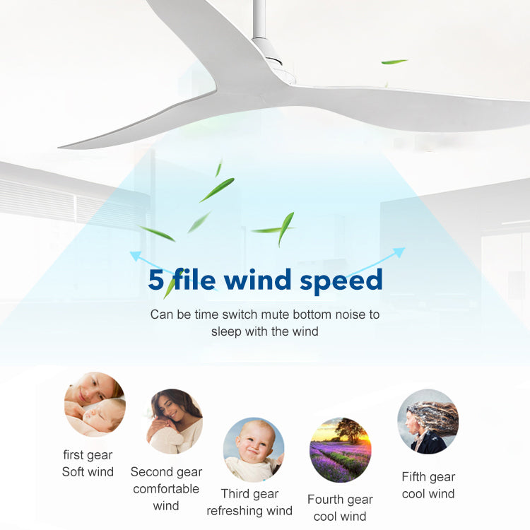 Noosa 132cm 52" DC Ceiling Fan with 5 Speed Remote Control Matt White